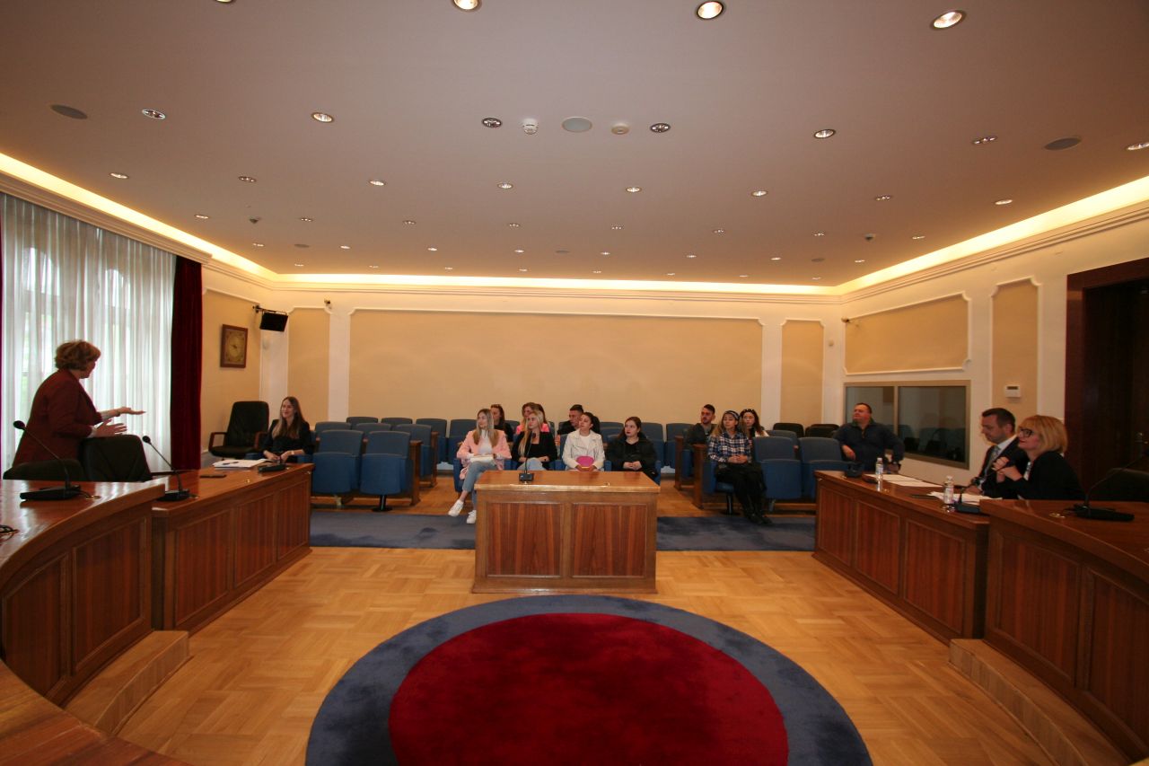 constıtutıonal court I